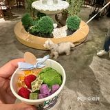 宁波夏日漂亮饭之约🍴(宠物友好)