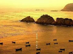 -枸杞岛