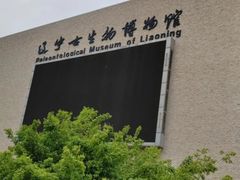 -辽宁古生物博物馆