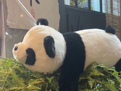 -了凡国风主题茶馆·咖啡(武侯祠锦里店)