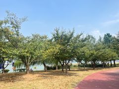 -幕燕滨江·长江观音景区