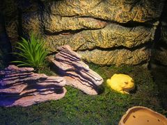 景点-梦幻海洋王国(吾悦广场张家港店)