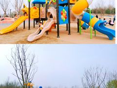 -东郊湿地公园