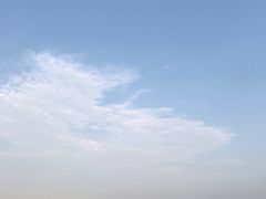 -大湾区中央湿地公园-十九涌