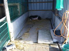 -明珠湖天鹅苑·农家菜馆