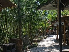 -终南山国家森林公园