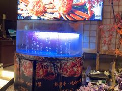 -松鱼亭·和牛烧肉(协鑫广场店)