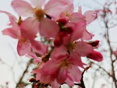 -风云岭森林公园