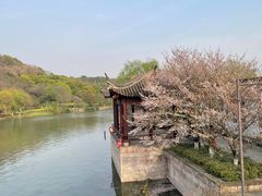 -绍兴镜湖国家城市湿地公园