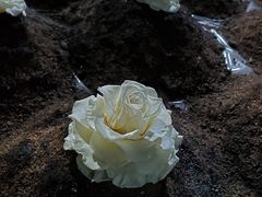 -成都许燎源现代设计艺术博物馆