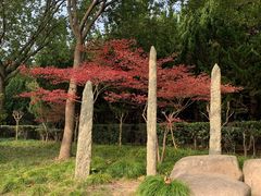 -黄兴公园