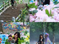 -洛阳白云山景区