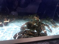 -盒马鲜生(新都心店)