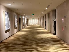 -北京朝阳悠唐皇冠假日酒店