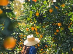 -滨江森林公园-真人CS野战场