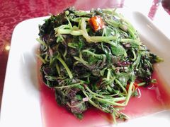 -旭龙鱼头王(航华店)