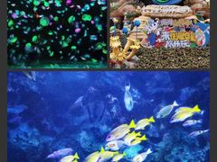 -珠海长隆海洋王国