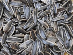 -一只羊烧烤(东湾半岛店)