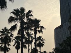 -金沙湖公园