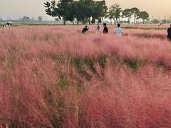 -汉长安城未央宫国家考古遗址公园