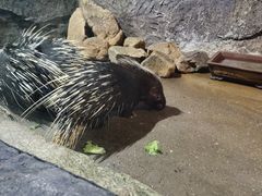 -青青世界