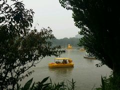 android_upload_pic-紫竹院公园冰场