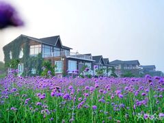 -渔岛海洋度假区