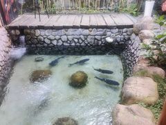 -耕渔小院·湖南鱼鲜(望城店)