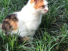 -上海市龙华烈士陵园