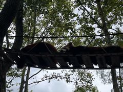 景点-上海野生动物园