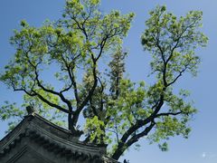 -保定直隶总督署博物馆