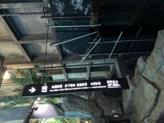 -泉城欧乐堡海洋极地世界