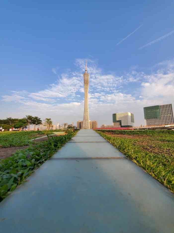 二沙岛宏城公园-"特意来看虞美人的 今天天气超好 虞美人开.