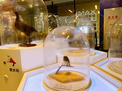-浙江自然博物院(杭州馆)