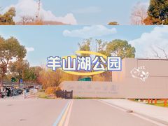 -羊山湖公园
