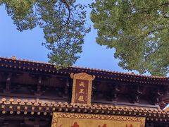 -亭林园-华藏寺