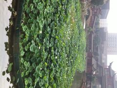 iphone_upload_pic-龙潭水乡