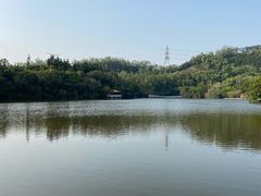-深圳仙湖植物园