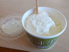 鹅銮鼻公园-鹅銮鼻公园