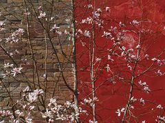 -东华门大街小区