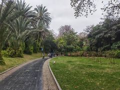 -柳侯公园