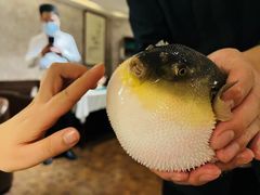 -肆月河豚·新淮扬(金融街店)