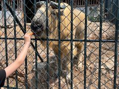 -大连森林动物园