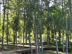 -东郊湿地公园