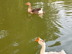 -蓝地时尚庄园(北京清河营地铁站店)