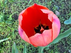 -长春公园(普阳街道)