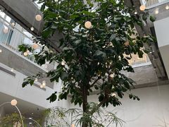 -大树餐厅(红旗街万达店)