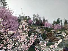-秀丽东方