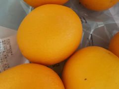 橙子-诚实果品批发行(三星路店)