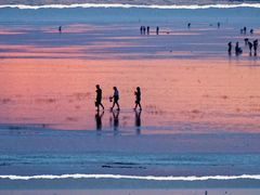 -南汇嘴观海公园